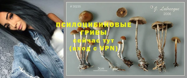 ГАЛЛЮЦИНОГЕННЫЕ ГРИБЫ Алексин