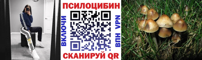 это как зайти  Ивангород  Псилоцибиновые грибы прущие грибы 